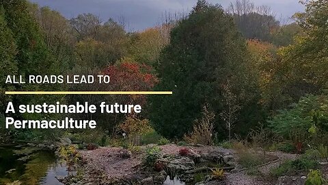 A sustainable future - why the world will take us kicking and screaming towards permaculture.