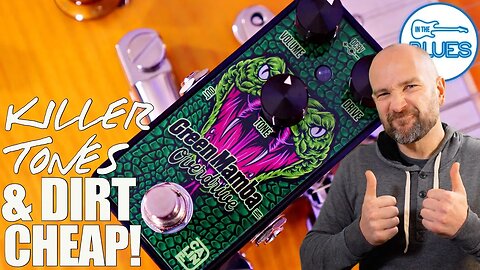 Great Blues Tone on a Budget! The Caline Green Mamba Review