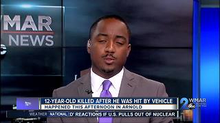 12 year old struck and killed by van