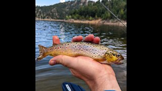 Gross Reservoir Kayak Fishing (7-30-2021)