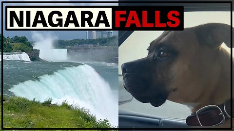 Vlog 001 Niagara Falls and Van Clean Out