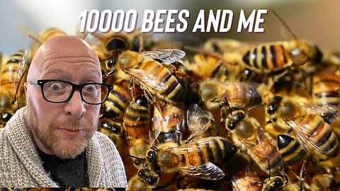 10000 bees and me
