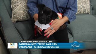 Foothills Animal Shelter-"Toby's Pet Parade" In Town September 7th
