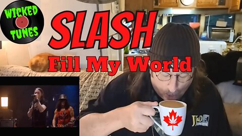 🎵 - New Rock Music - Slash - Fill My World - REACTION