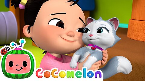 Cece Had a Little Cat | CoComelon Nursery Rhymes & Kids Songs | Kiddi Middi