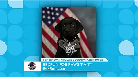 RexRun for Pawsitivity TOMORROW! // RexRun