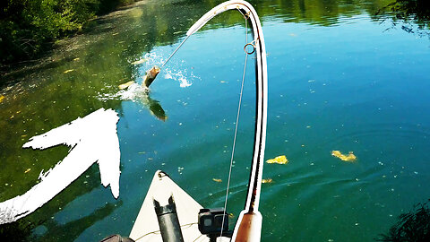 Fishing Largemouth Bass with Smallmouth Gear 