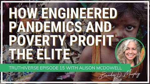 How Engineered Pandemics & Poverty Profit the Elite: Enter the Great Reset - with Alison McDowell