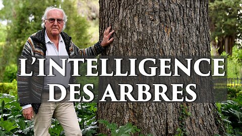 Francis Hallé | Les arbres sont plus intelligents que nous ?