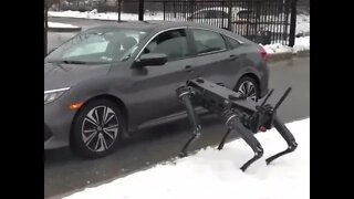 Robot Dog Checks Mans ID | RoboCop IRL