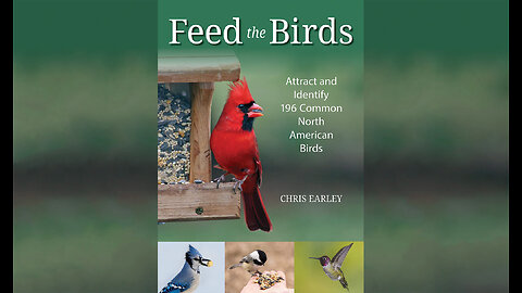 Feed the Birds: Attract and Identify 196 Common North American Birds