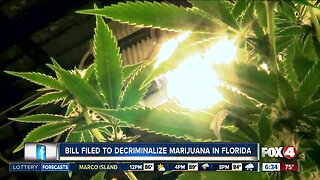 Florida lawmaker files bill to decriminalize weed