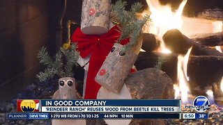 Reindeer Ranch recycles beetle kill tree into Christmas decorations