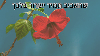 ברכת אביב ופסח שמח