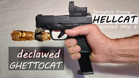 Springfield Armory Hellcat turned into a Declawed Ghettocat