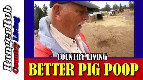 Bigger & Better Pig Droppings, Fermenting Feed is Helping
