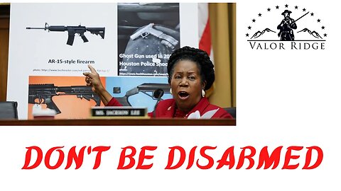 There is a Reason This Government Wants Us Disarmed, And It's Not for Safety