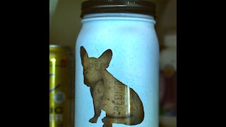 Dog Treat Jar [GMG Originals]