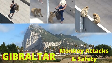 Monkey Attacks at the Top of Gibraltar and How to Avoid Them; Be Diligent and Stay Safe Around Them