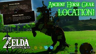 Ancient Horse Gear Location! - Zelda Breath of the Wild "The Champions' Ballad"