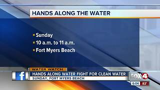 'Hands Along the Water' rally for clean water and wildlife