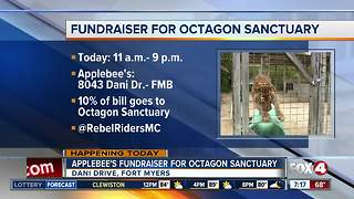 Fundraiser for Octagon Sanctuary