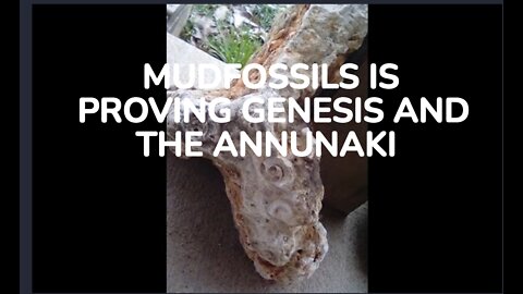 MUDFOSSILS IS PROVING GENESIS AND THE ANNUNAKI