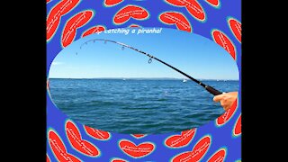 Women are like fishing: You have to be careful where you throw your fish hook! [Quotes and Poems]