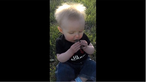 This Adorable Little Girl Thinks This Toad Is a Juicy Snack. Her Next Reaction Is Hilarious.