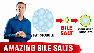 The 9 Benefits of Bile Salts