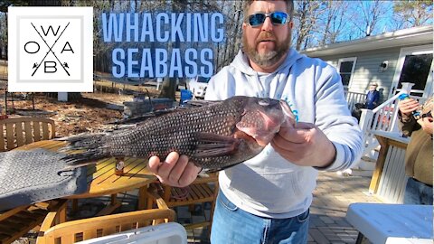 Filleting Seabass Montage! ft. cpt.terry | WBOA Ep. 6