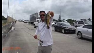 Friends go fishing while stuck in traffic