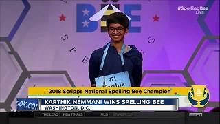 Spelling Bee winner