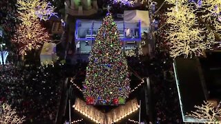 7 UpFront: Looking ahead to the tree lighting ceremony at Campus Martius Park