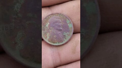 1955 #buttons #coins #metaldetecting #trending #silver #civilwar #battlefield #relic