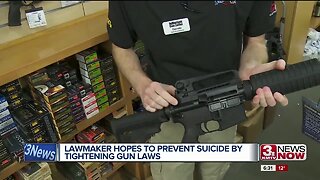 Lawmaker hopes to prevent suicide by tightening gun laws