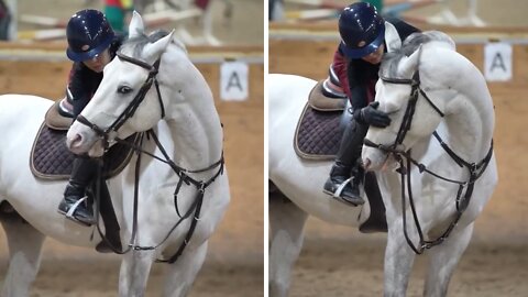 Woman shares special bond with well-trained horse