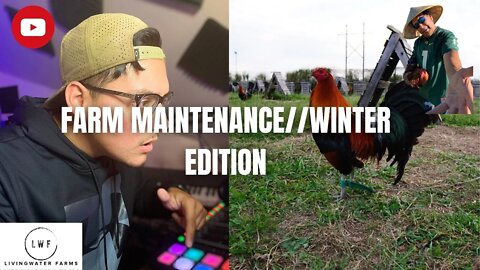 LWF FOWL STREAM // MAINTENANCE WINTER EDITION