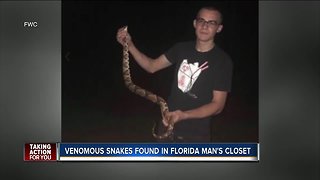 Florida teen accused of illegally keeping venomous snakes in closet