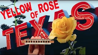 How to Play the Yellow Rose of Texas on a Diatonic Harmonica