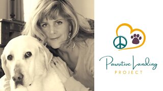Interview with Jodi Ross of Pawsitive Landing Project