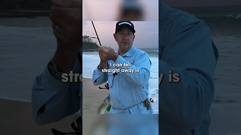 Catching WHITING - TOP FISH! Full Vid up SAT 3PM #beachfishing #beachworms #whiting