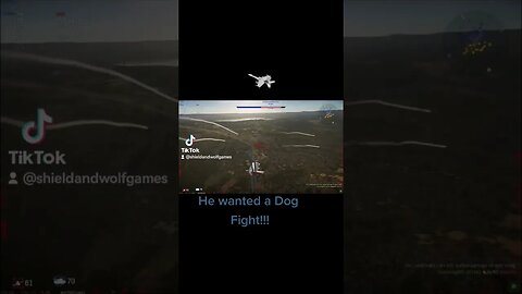 He wanted a Dog Fight. #warthunder #game #gaming #airbattle