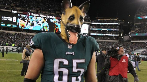 WHY Are Eagles Fans Wearing DOG MASKS to the NFC Championship Game?