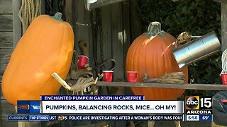 Check out the Enchanted Pumpkin Garden in Carefree