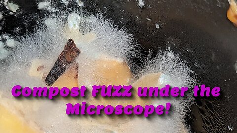 What does that white furry stuff look like under the Microscope?