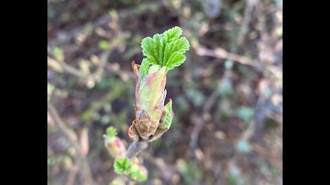 The Sprouts let us know it’s Spring!