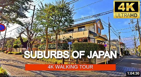 【4K JAPAN】Walking Tour - Relaxing Walk Suburbs of Setagaya, Japan - Kinuta Park Cherry Blossoms