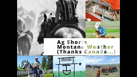 Montana Weather (Thanks Canada!) - Ag Shorts