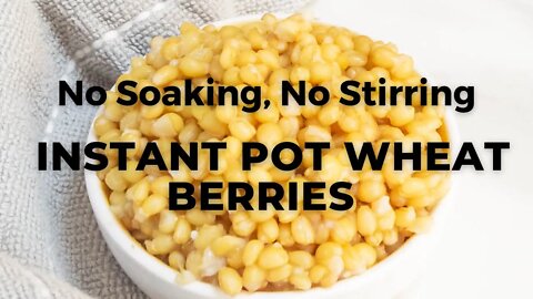 HOW TO COOK WHEAT BERRIES WITHOUT SOAKING | INSTANT POT WHEAT BERRIES - Flavours Treat